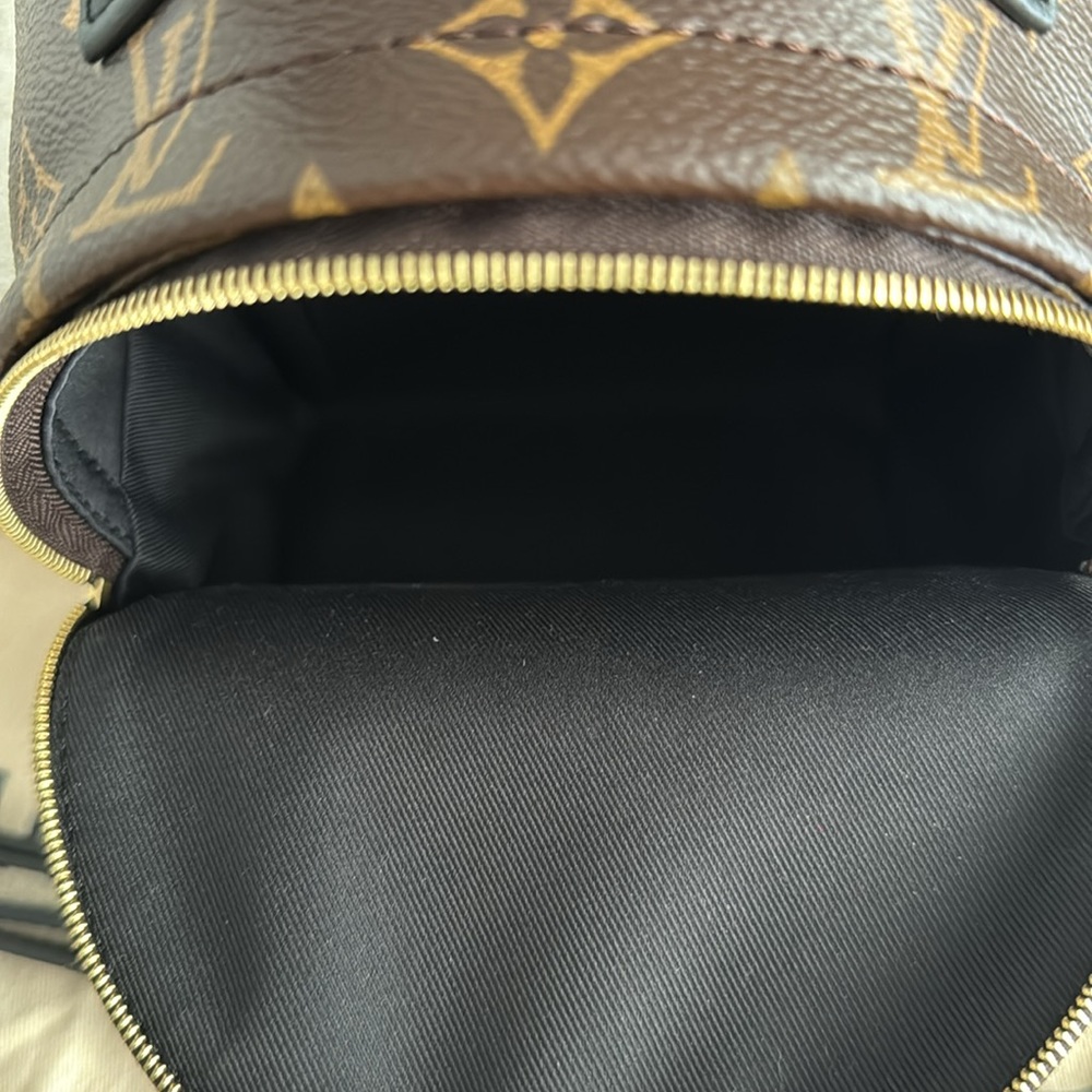 Louis Vuitton Palm Springs Mini Backpack - Picture 10 of 11